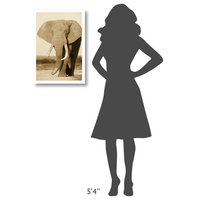 "African Elephant bull, Amboseli National Park" Paper Art, 18"x26"