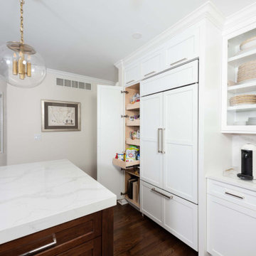 Roscoe Village Kitchen Remodel