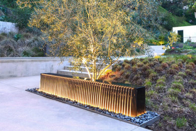 Photo of a modern landscaping in Los Angeles.