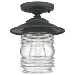 Transitional Outdoor Flush-mount Ceiling Lighting by ShopFreely