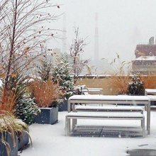 winter gardens