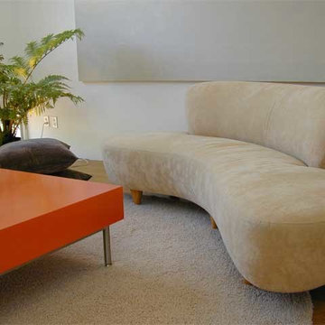 Modern Show House