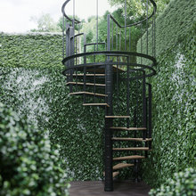 Spiral Staircase
