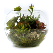 jessica_obregon's ideas