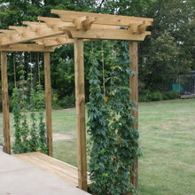 Hops Trellis