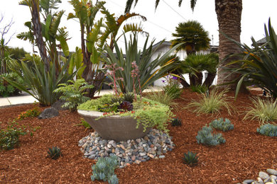Inspiration for a tropical landscaping in San Luis Obispo.