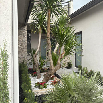 Modern Low Maintenance Landscape