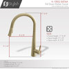 STYLISH Kitchen Sink Faucet Single Handle Pull Down Dual Mode Brushed Gold