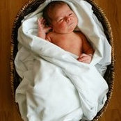 Elizabeth Jefferson's photo