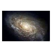 Steven Moore's photo