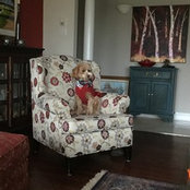 Carrie Stewart's photo