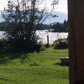 Heather Grootens's photo