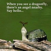 Vanessa Koshak's photo