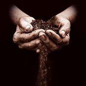 Zack Elliott's photo