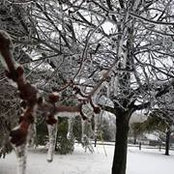 Sallie Klecha's photo
