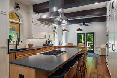 Kitchen - transitional kitchen idea in Baltimore