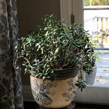 Interior mature jade