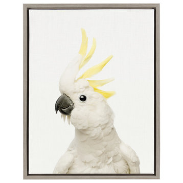 Sylvie White and Yellow Cockatoo Animal Framed Canvas by Amy Peterson, 18x24