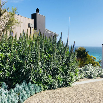Dromana