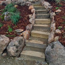 Landscape Ideas