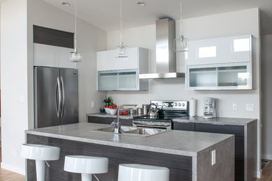 Inspiration for a contemporary kitchen remodel in Other