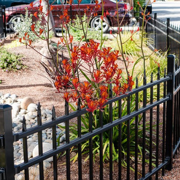 Low-water Drycreek Garden