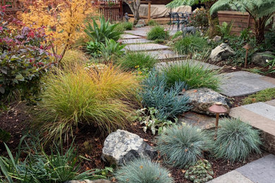 Photo of a contemporary backyard stone landscaping in San Francisco.