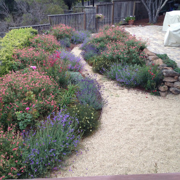 Landscape Design & Build
