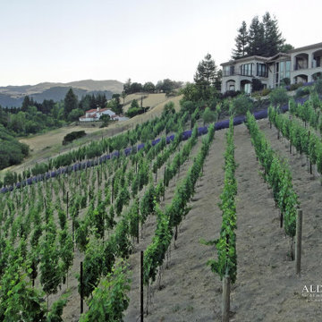 Danville, Saddleback Dr. 1,200 Vine Vineyard