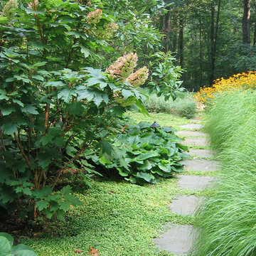 Woodland Retreat