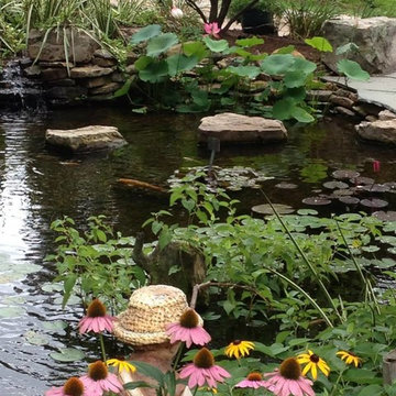 Pond/Waterfall