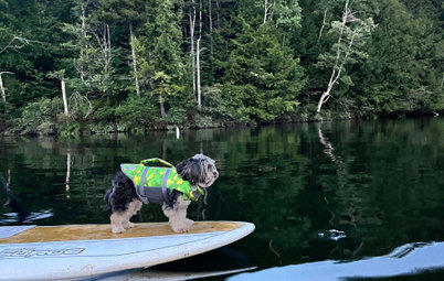 Show Us Your Summer Fun-Loving Pets!