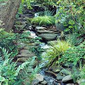 Ellen Humphrey's photo
