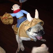 Mugsy Pug Jimenez's photo