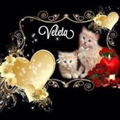 Veleta Williford's photo