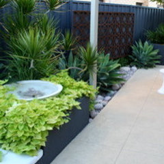 Evolve Landscape Design