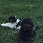 Kathy Tuchman's photo