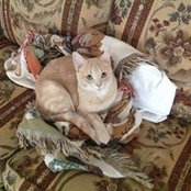 Kathy Hendrick's photo