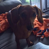 Ann Smith's photo