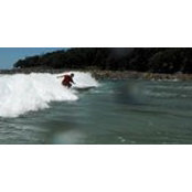 Preston COLLINS's photo
