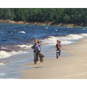 Dawn Woolace's photo