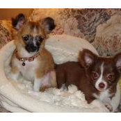 Debbie Pedlar's photo