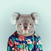 Tim Groves's photo