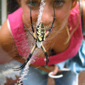 Amanda Mabee's photo