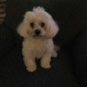 Dora Perry's photo