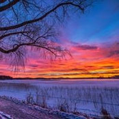 Tracey Pimentel's photo