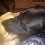 Mitzi Reese's photo