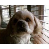 Foto von Chibi Rae