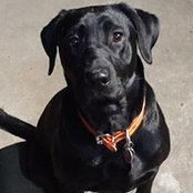 Rick Miller's photo