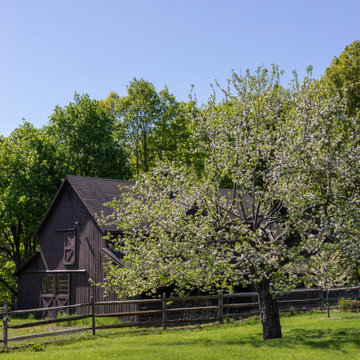 Country Fruit Tree Pruning